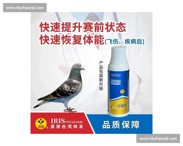 人用药在赛鸽比赛中提速作用与安全性研究探索